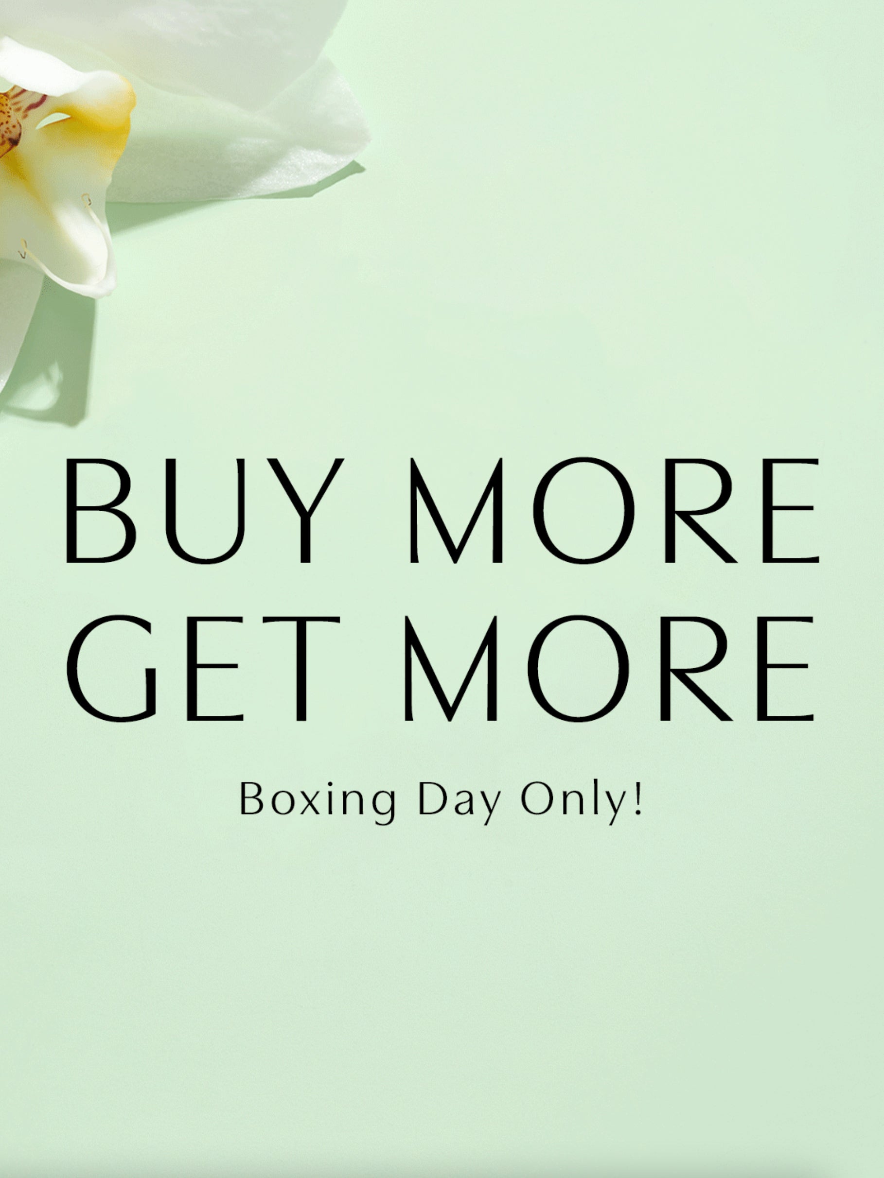 BOXING DAY PROMO